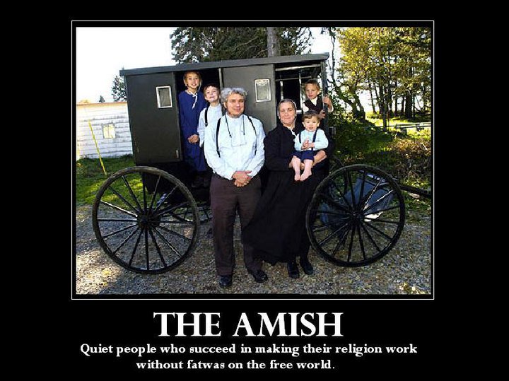 AMISH